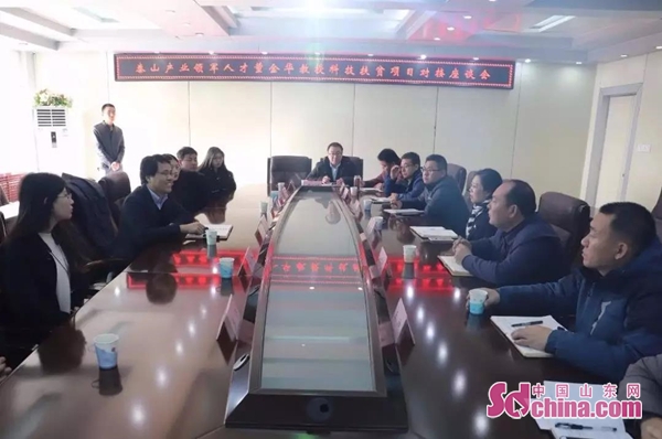 山东省泰山产业领军人才,山东泰山产业领军人才工程