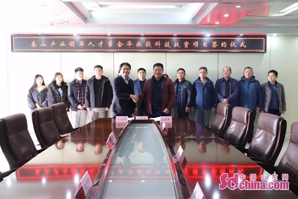 山东省泰山产业领军人才,山东泰山产业领军人才工程