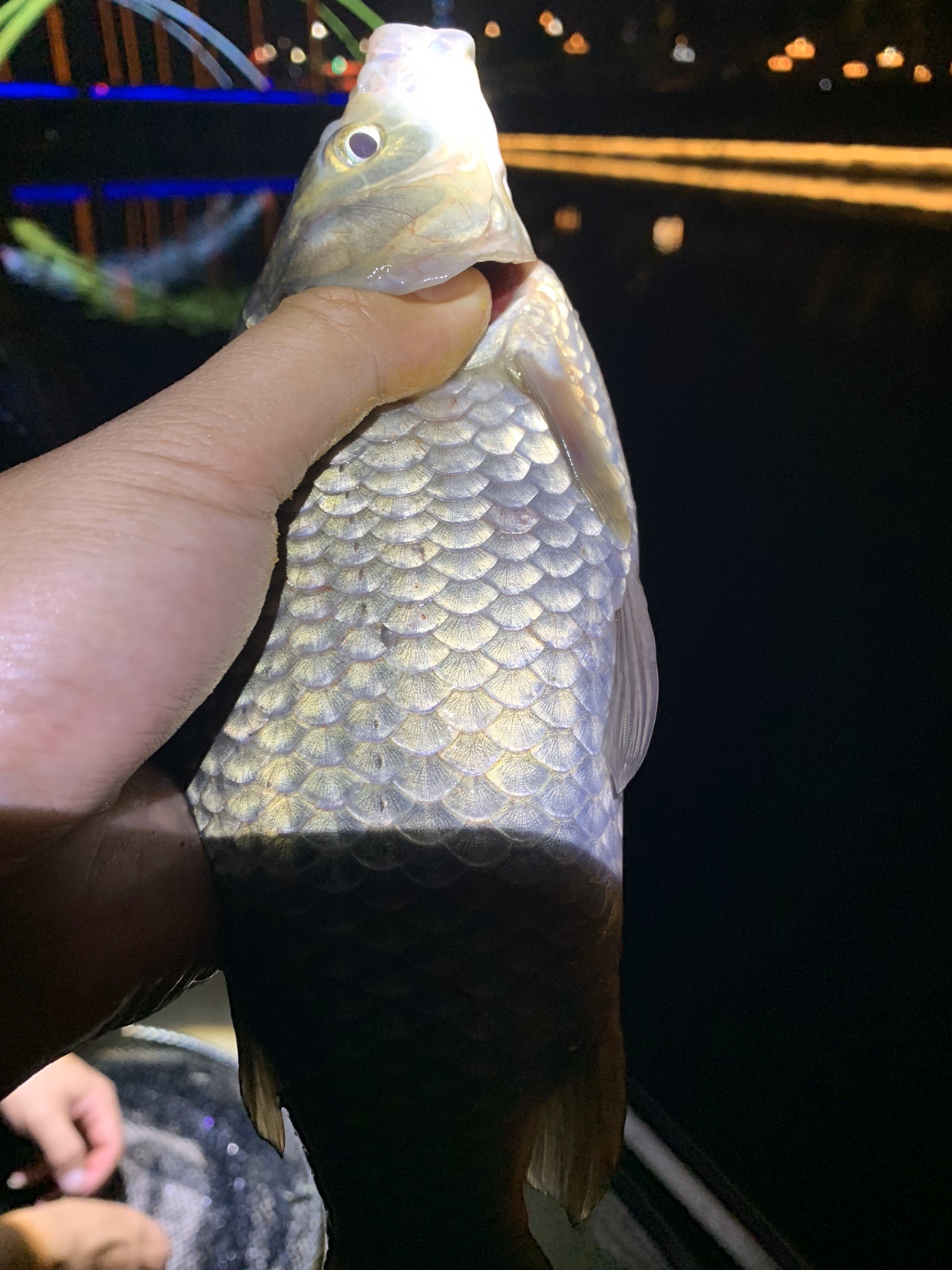 禁不住诱惑去开光，马马虎虎算成功