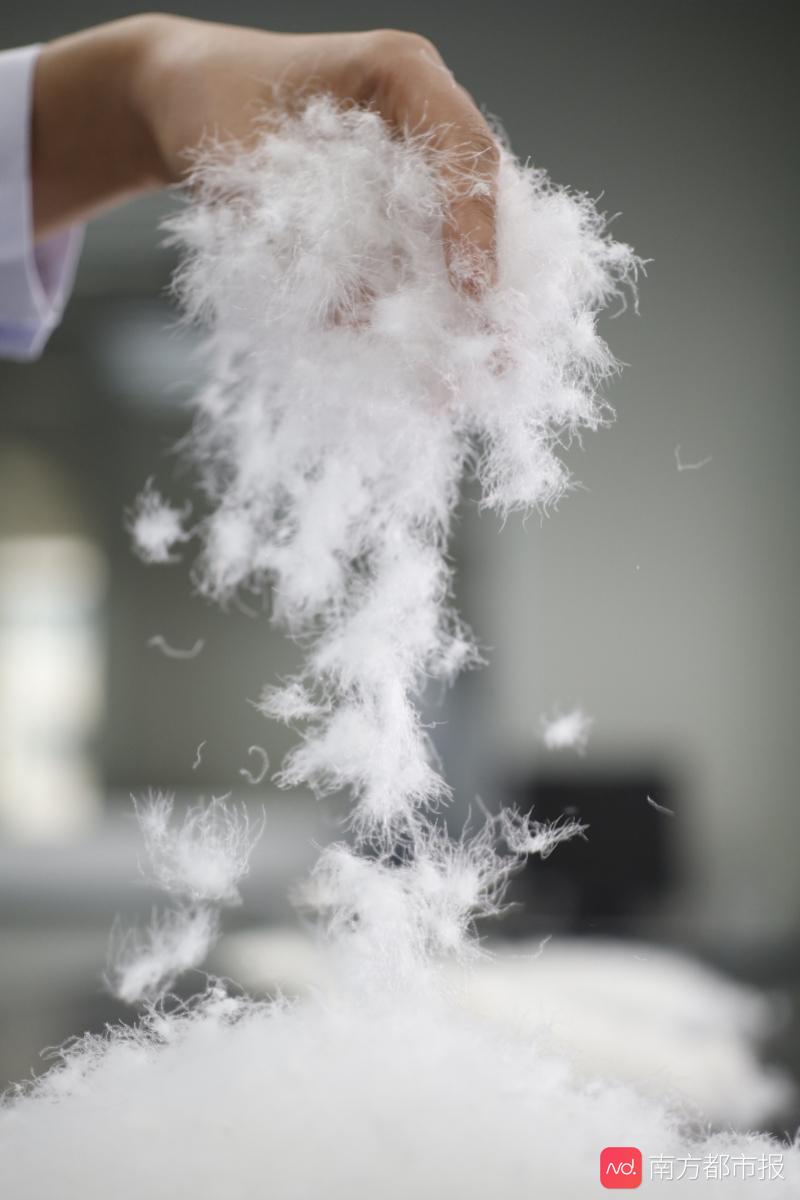 羽绒服质量不过关会导致过敏,诱发过敏