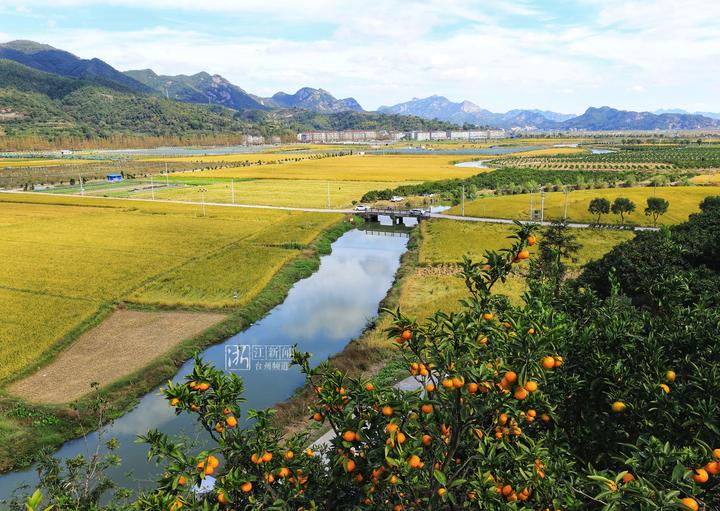 幸福四重奏视频,台州连续几年被评为最幸福城市