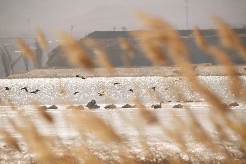 京张高铁一日游攻略,京张高铁沿线旅游资源