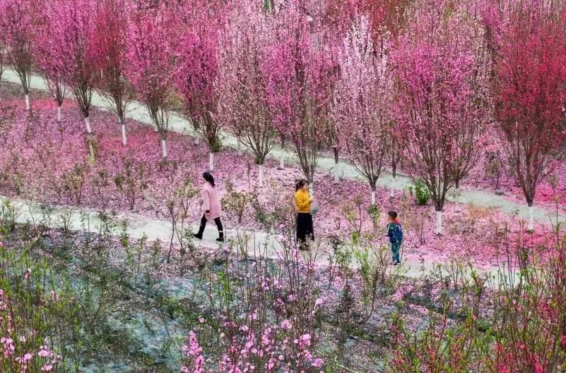 为什么温江人口没有郫都多,为什么温江会被称为金温江