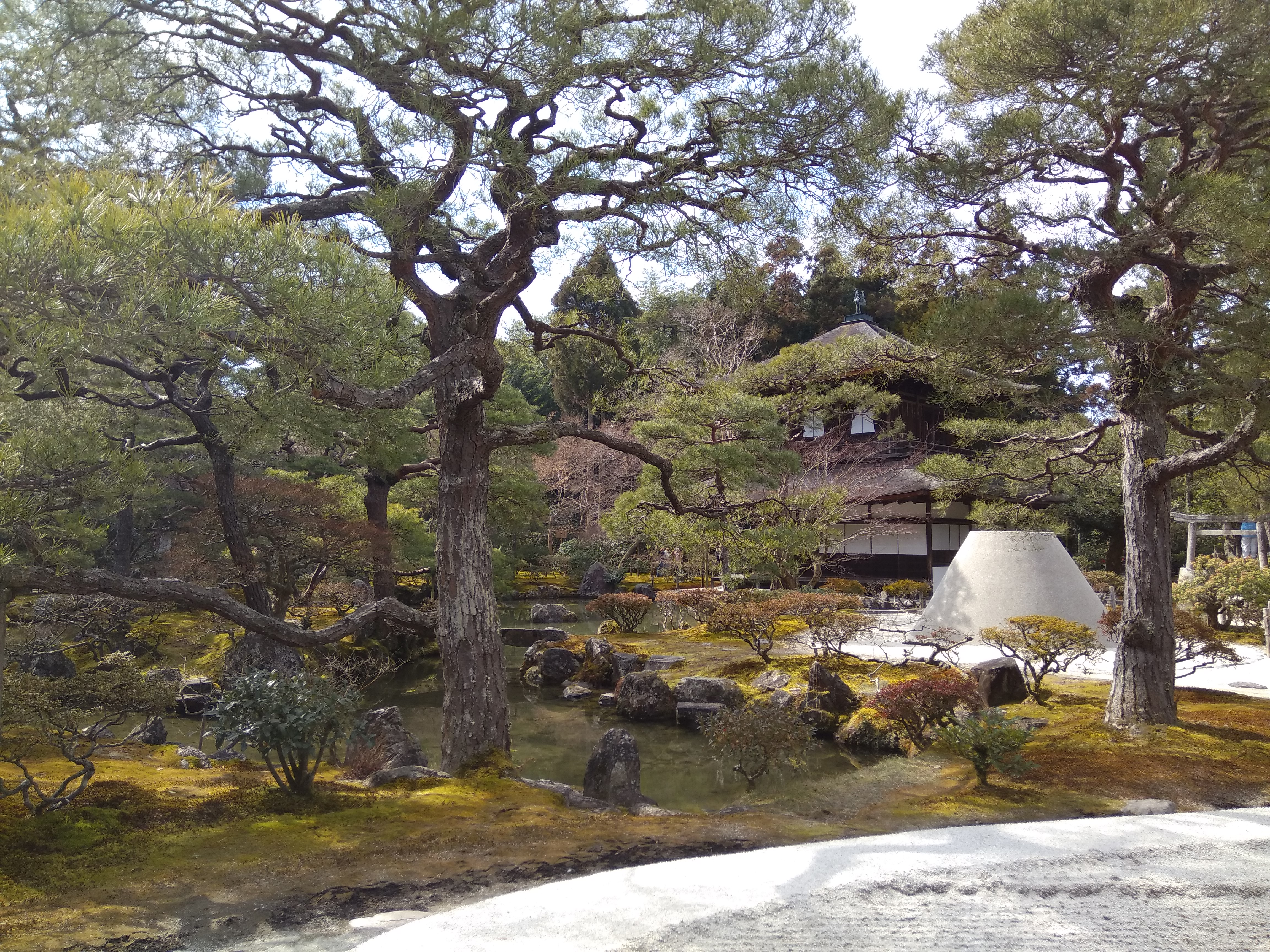 银沙向月——京都银阁寺漫步