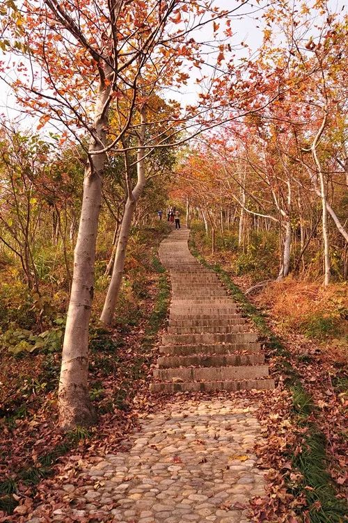 爬山推荐哪座山北仑,爬完桐庐所有的山