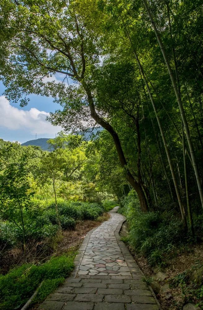 爬山推荐哪座山北仑,爬完桐庐所有的山