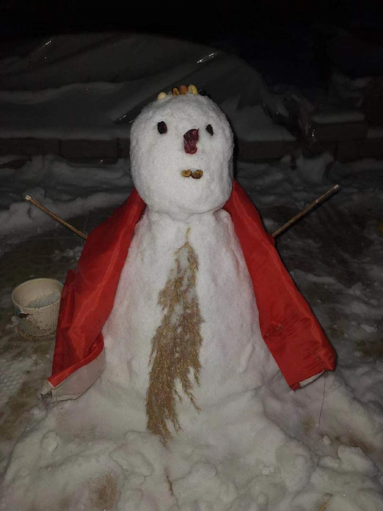 东北雪地画心,东北雪地代写走红