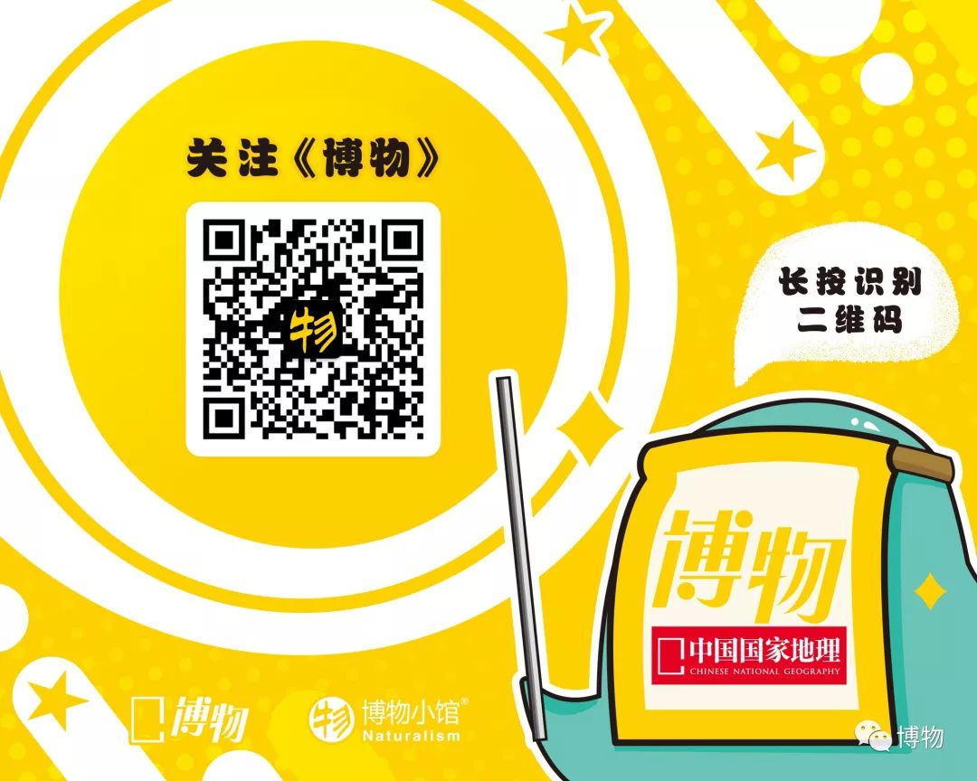 有影响力公众号排行榜,比较好的公众号排行榜