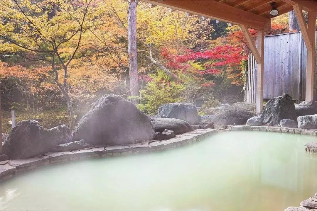 “泰”舒服了！听说，和冬天更配的“宜游之城”就在这儿！温泉水暖、古镇飘香…是时候来场冬季泰州行啦