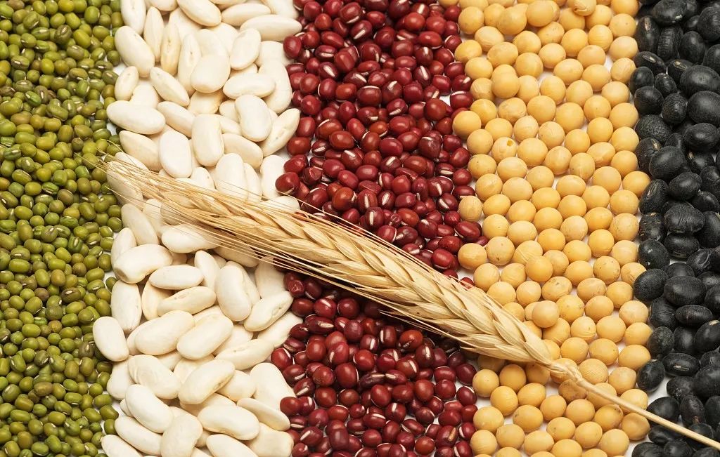 断食导致死亡的案例,断食者食物中毒