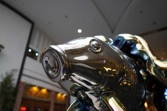 腾龙24mmf2.8定焦镜头视频测试,腾龙最新e卡口镜头