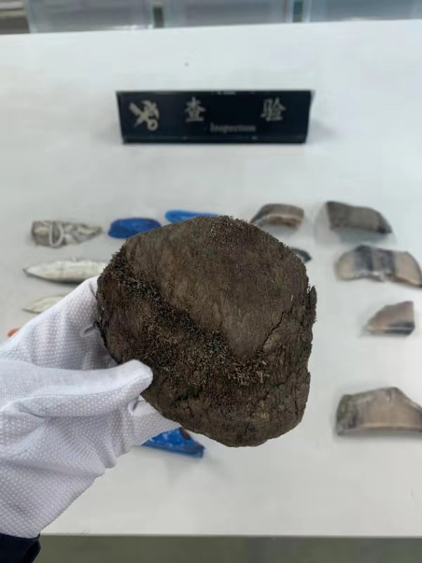 香港海关查获犀牛角,2019上海海关走私犀牛角被判几年