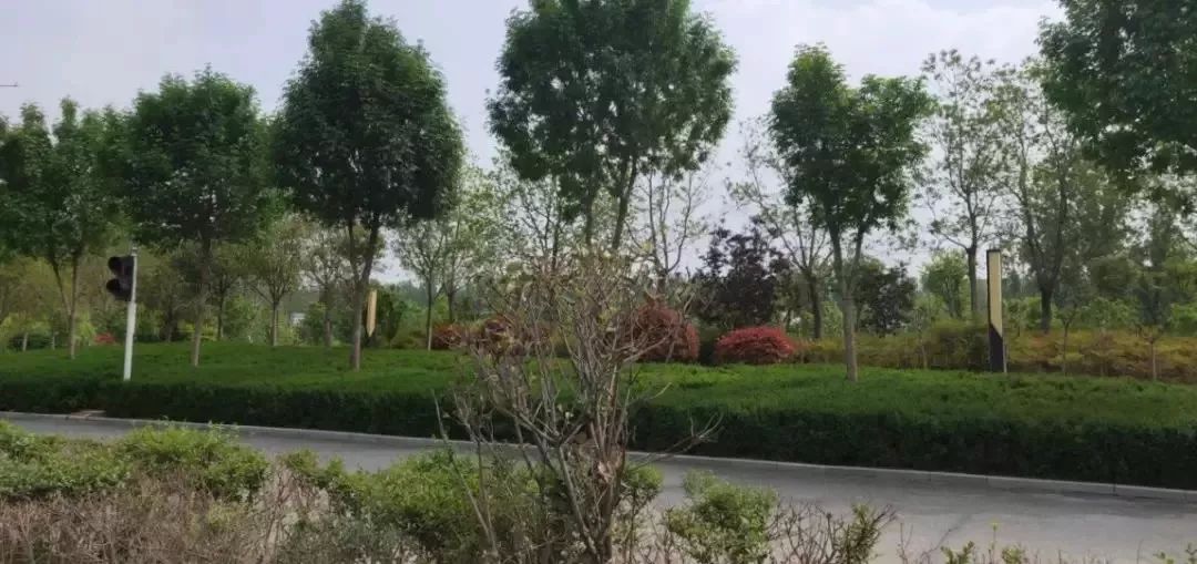 一路之隔北龙湖，谁是城市新主角？