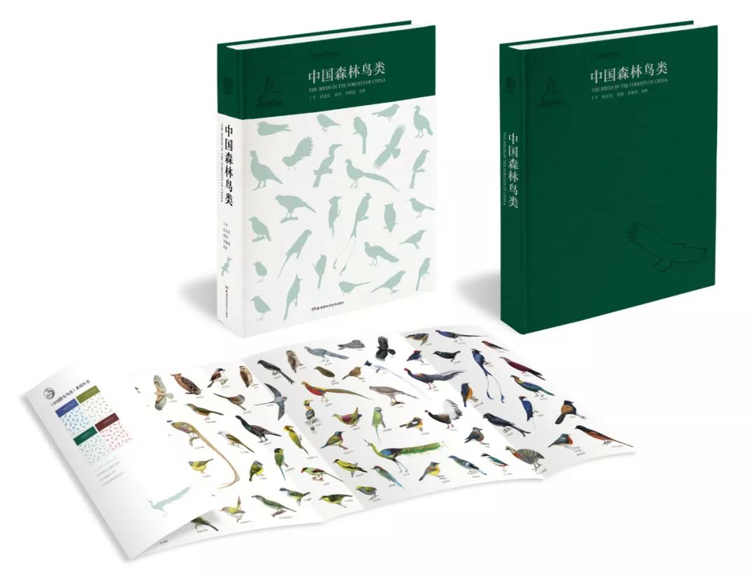 这也许是最好买的一场劲草嘉年华……