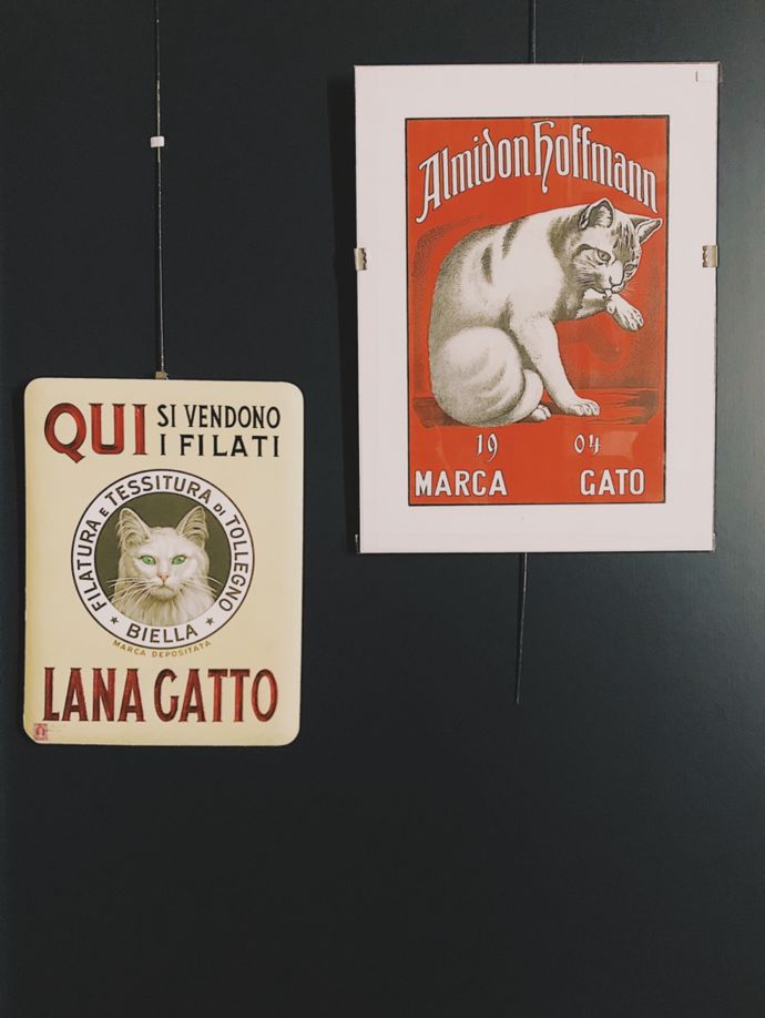 各种猫咪的博物馆,猫咪博物馆都有哪些猫