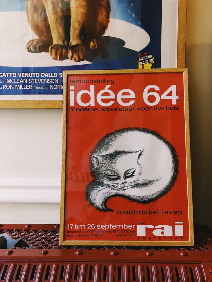 各种猫咪的博物馆,猫咪博物馆都有哪些猫