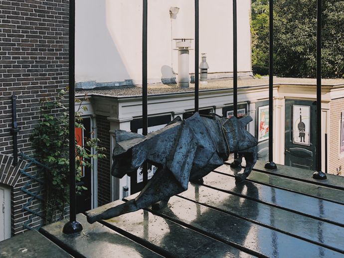 各种猫咪的博物馆,猫咪博物馆都有哪些猫