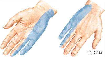 指尖发麻有针刺感看什么科室,左手拇指食指发麻针灸怎么治疗