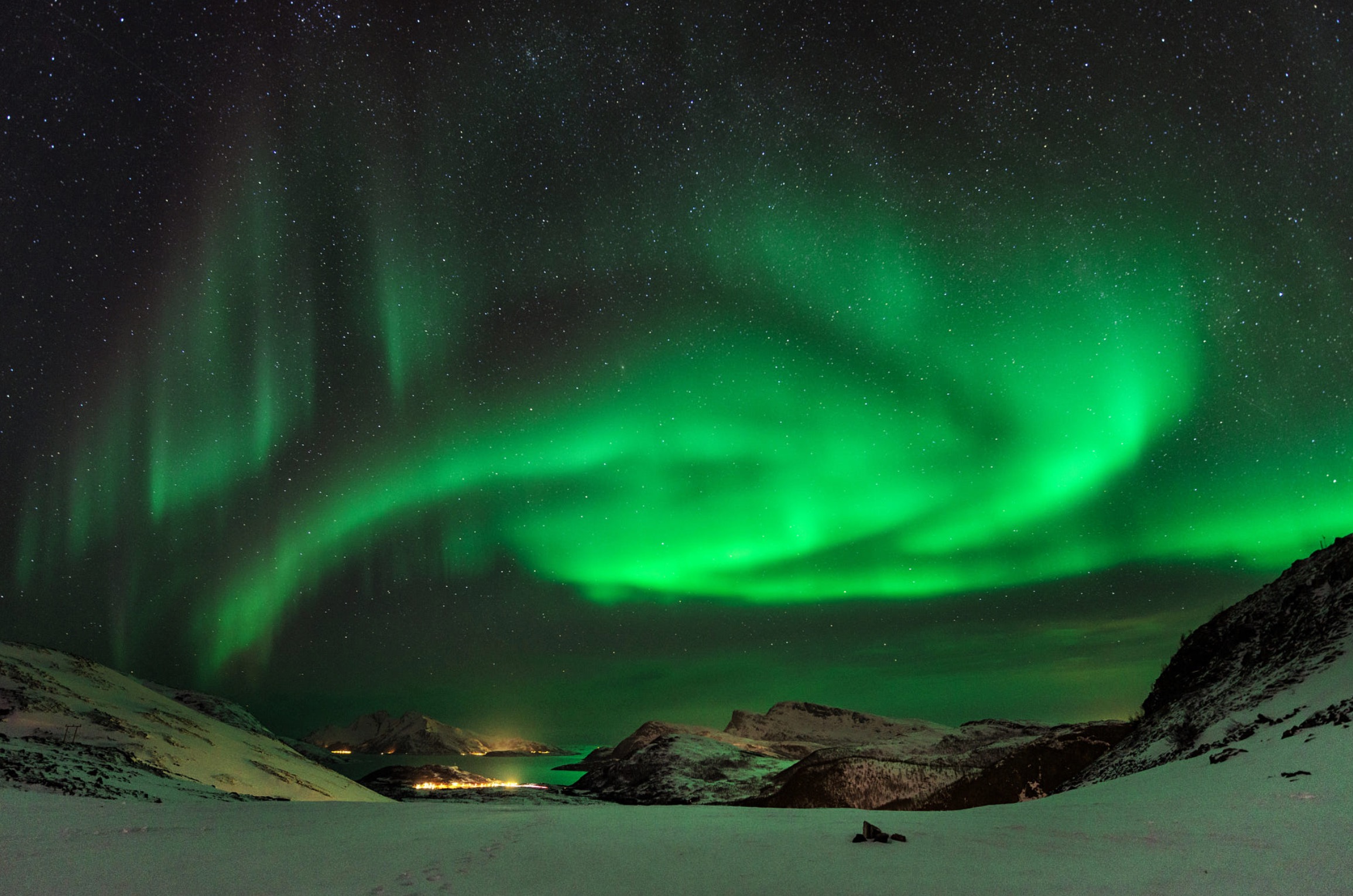 斗鱼直播河北,斗鱼直播北极