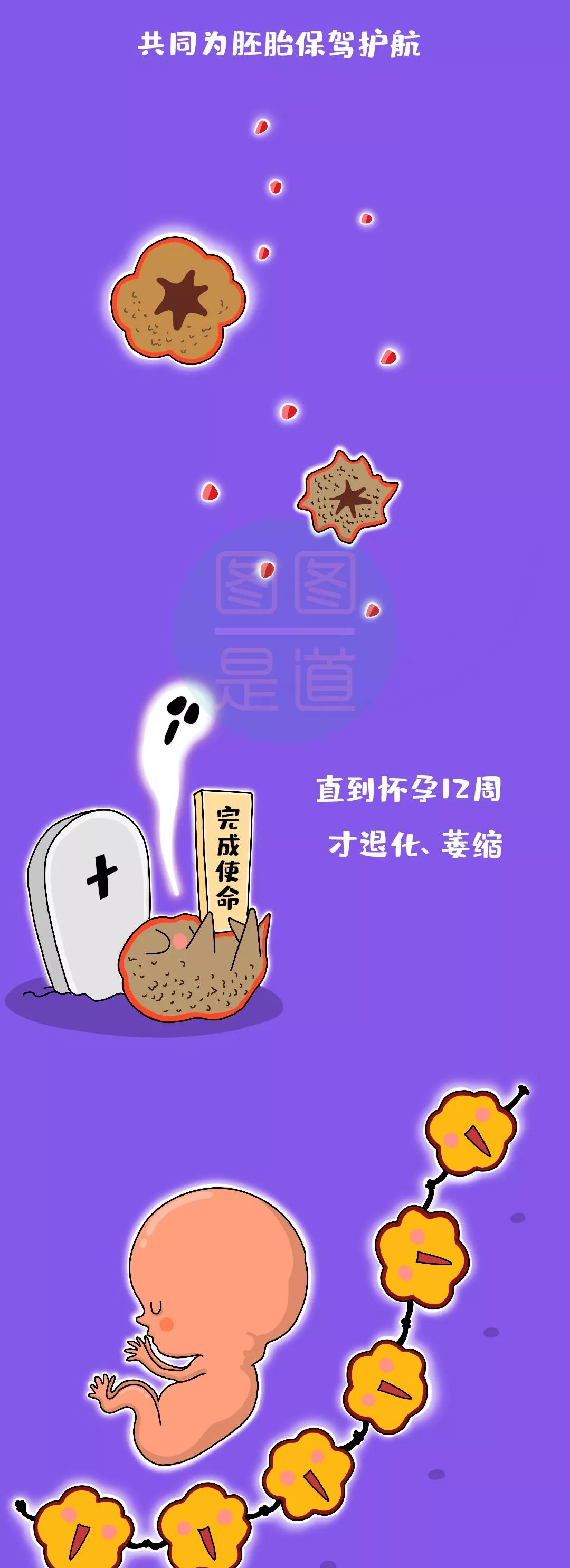 不明原因的腹痛警惕这种病,上腹部像吃鸡蛋黄一样噎着疼