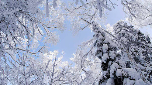 镜泊湖冬日瀑布,冬天镜泊湖吊水楼瀑布