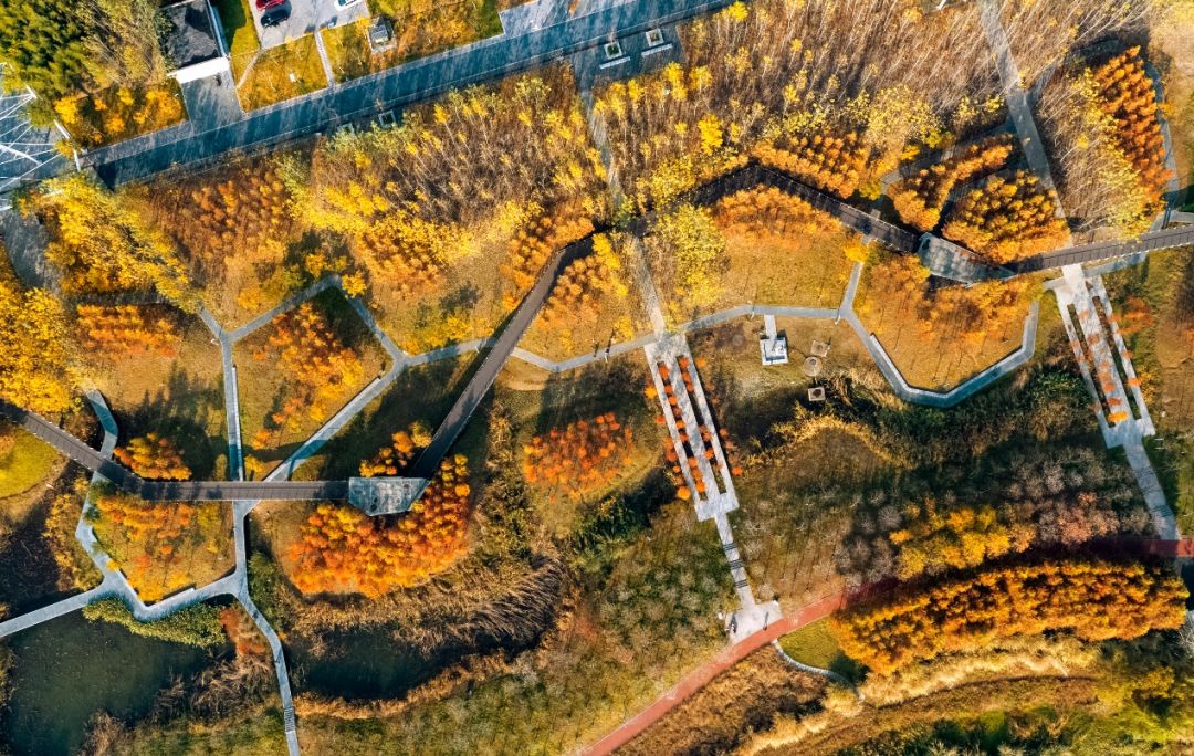 义乌十大网红打卡地,义乌网红打卡小镇