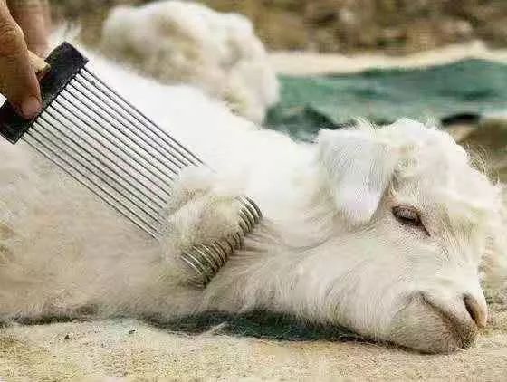 韩系暖冬降温围巾穿搭,时髦又百搭的保暖围巾显瘦减龄