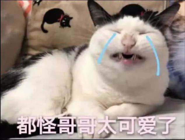 舟山普陀区被骗女子,舟山女子被骗10万