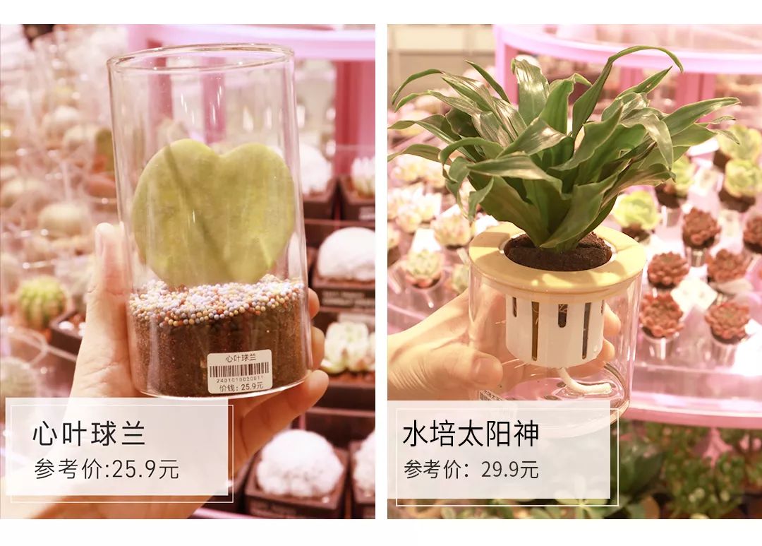 这样买划算多了,什么口红面膜实惠