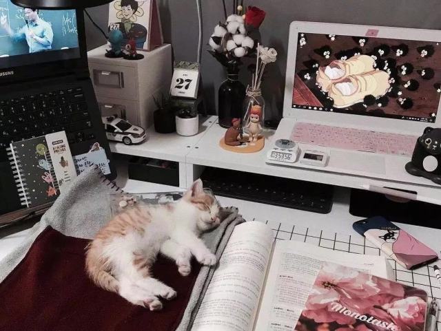 小学课外作业练习册,小学有什么很好的练习题册