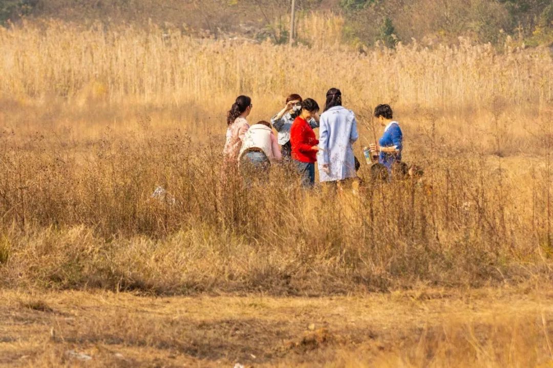 长沙梅溪湖拍照的网红打卡地,长沙梅溪湖网红打卡地在哪个站下