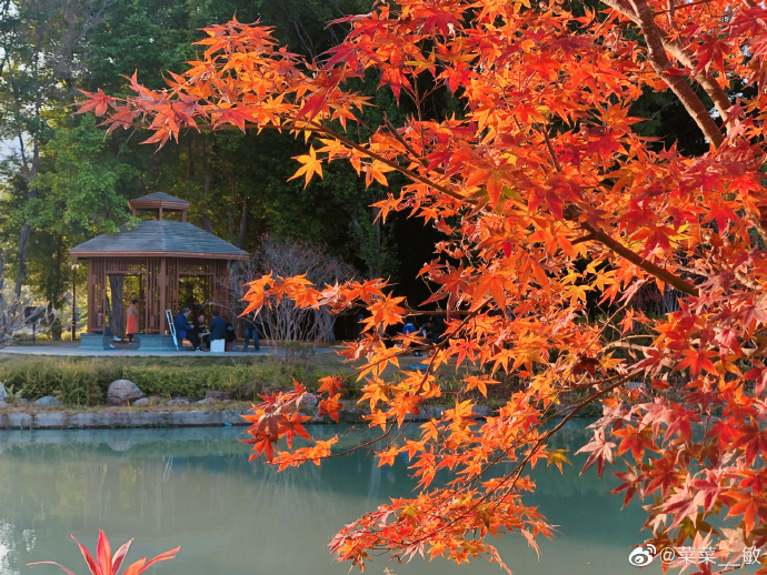 最新福州温泉公园,福州温泉公园