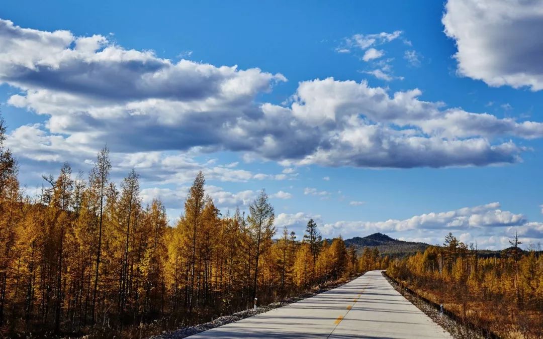 央视怀旧经典背景音乐,央视经典背景音乐排名
