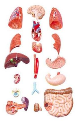 流量小花综艺首谈婚恋观,拼命奋斗竟是为攒嫁妆钱?