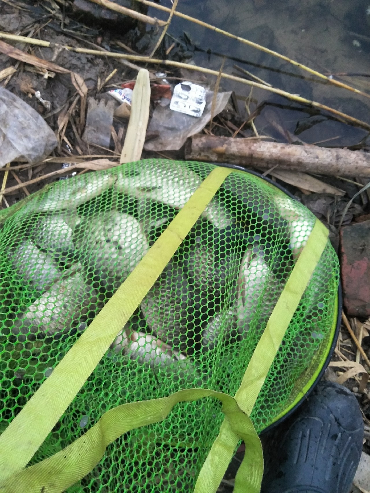 矶竿浮球钓法,矶竿岸筏怎么用