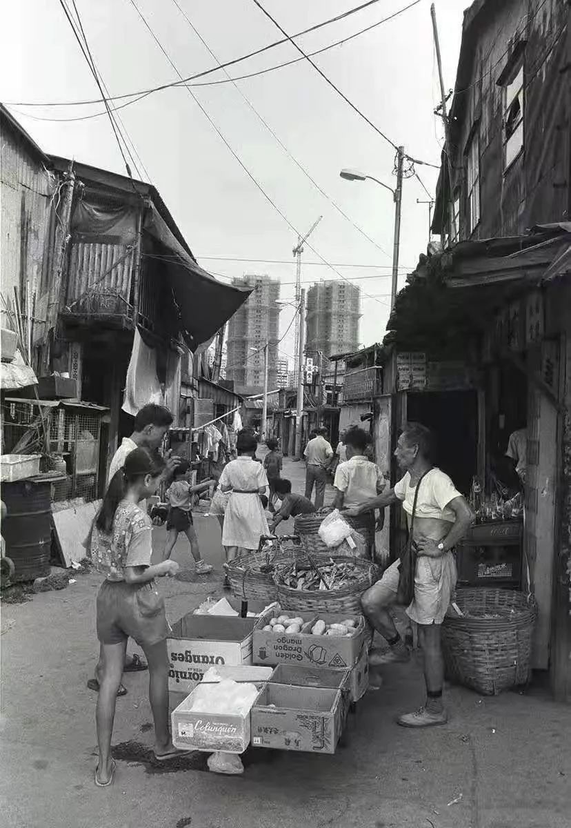 从天上看看你不曾见过的澳门,你没见过的图片