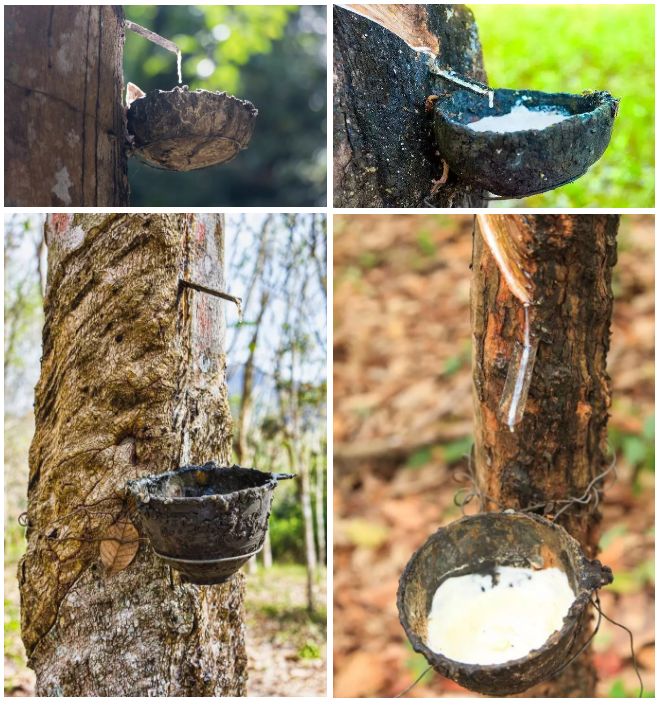 睡眠乳胶枕推荐,简单睡眠乳胶枕