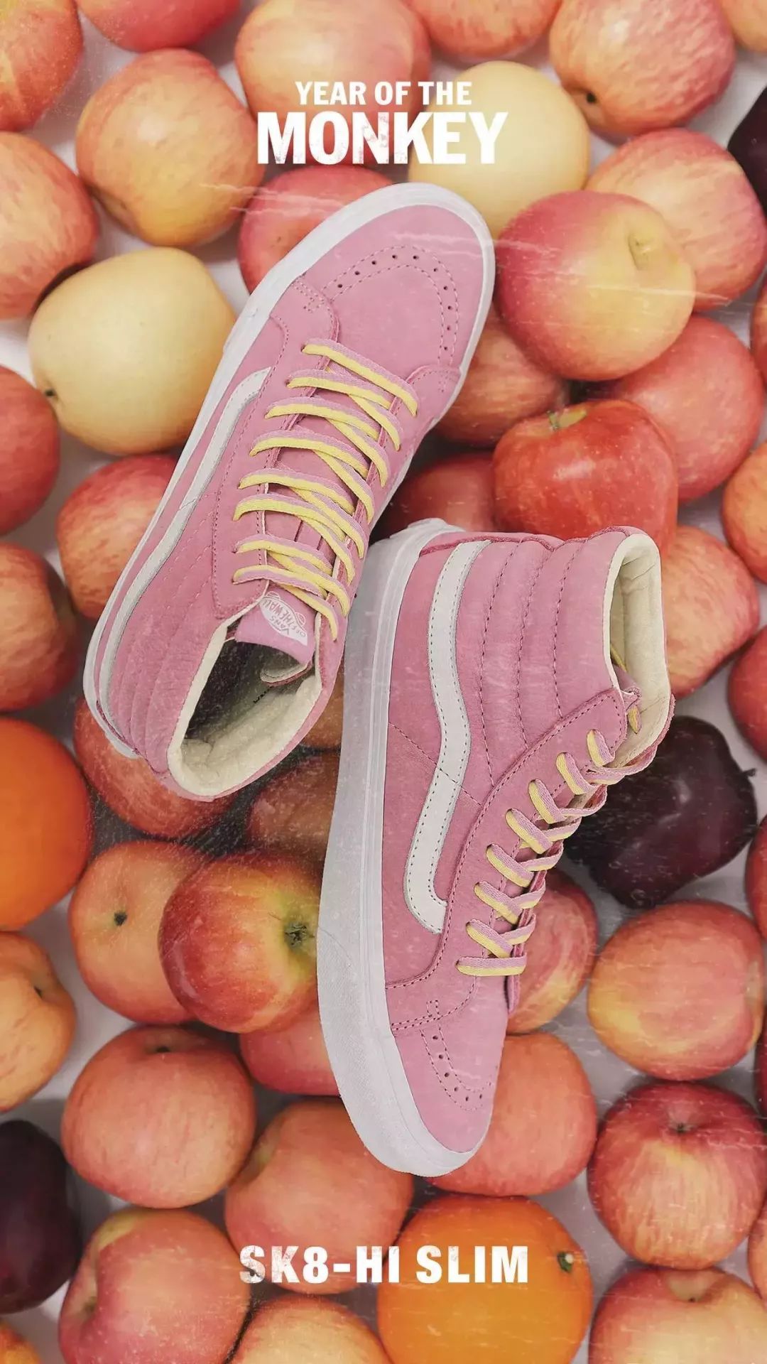 王安石与vans什么关系,vansoffthewall王安石