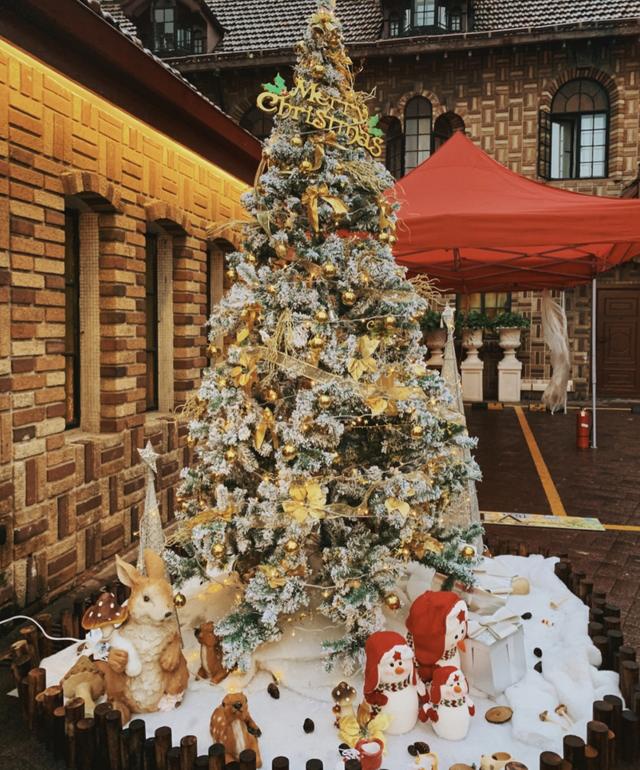 圣诞节适合去哪里旅游最合适,圣诞旅游的好地方是哪里