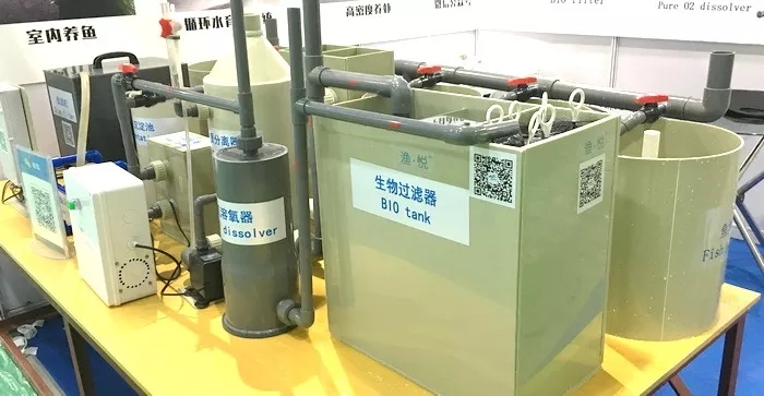 循环水养殖怎么快速建立硝化细菌,最强循环水养殖物理过滤方案