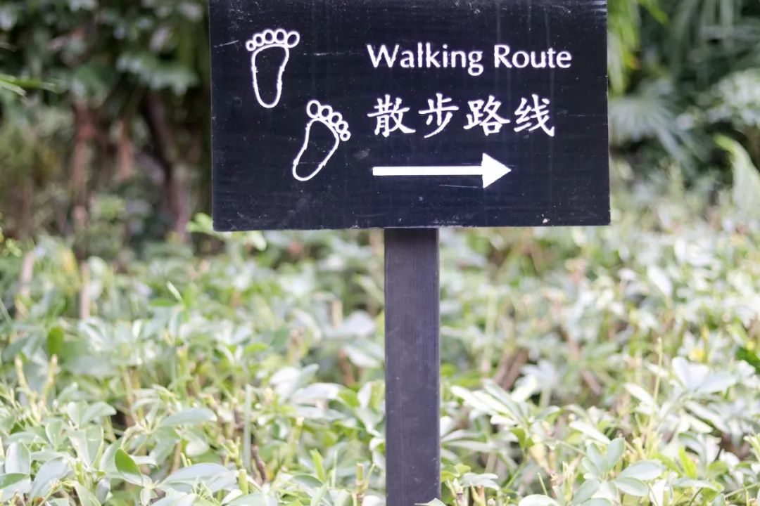 山水环抱、私汤入户|是时候造访全球首家悦榕庄温泉度假村了