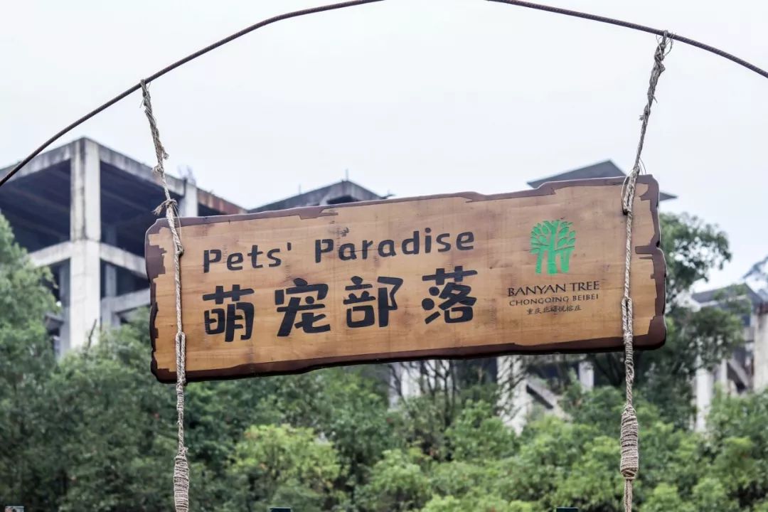 山水环抱、私汤入户|是时候造访全球首家悦榕庄温泉度假村了