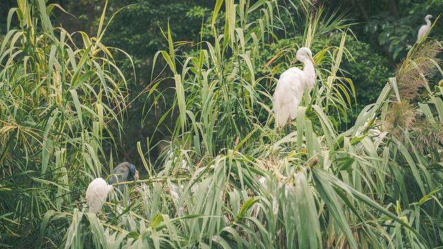 海底探秘视频,海底探秘海洋馆