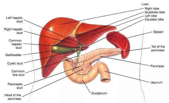 百亿影后再创佳绩，90后大军正式接棒坐镇大荧幕