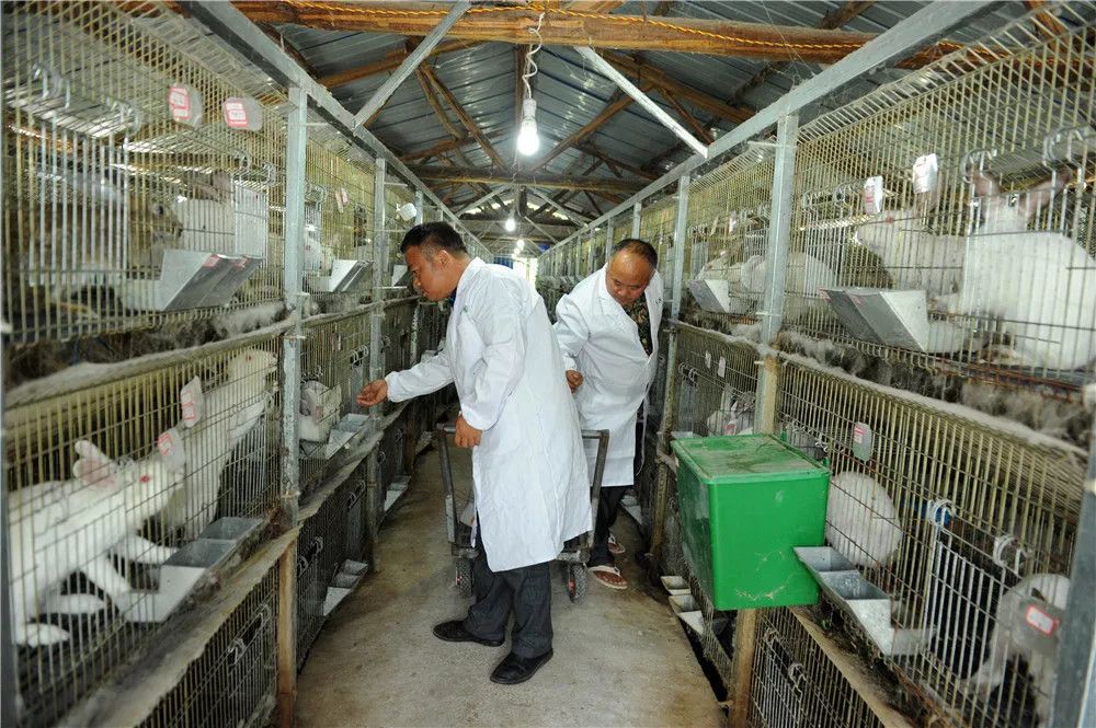 贵州省扶贫干部工作状态,贵州扶贫干部工作现状