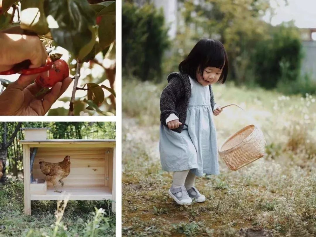 魔都租房实用指南,上海魔都租房记