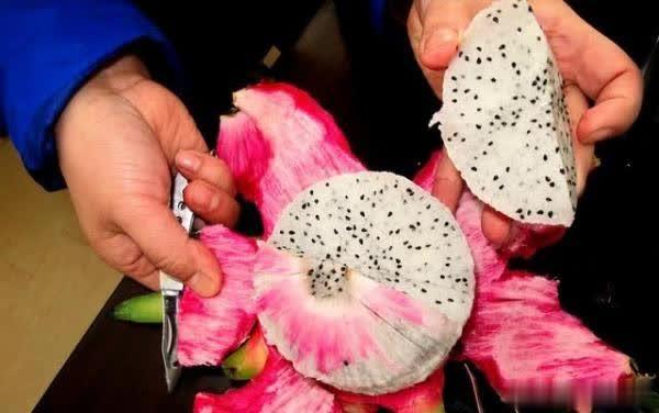 火龙果不要面粉的各种做法,火龙果不用发面的做法