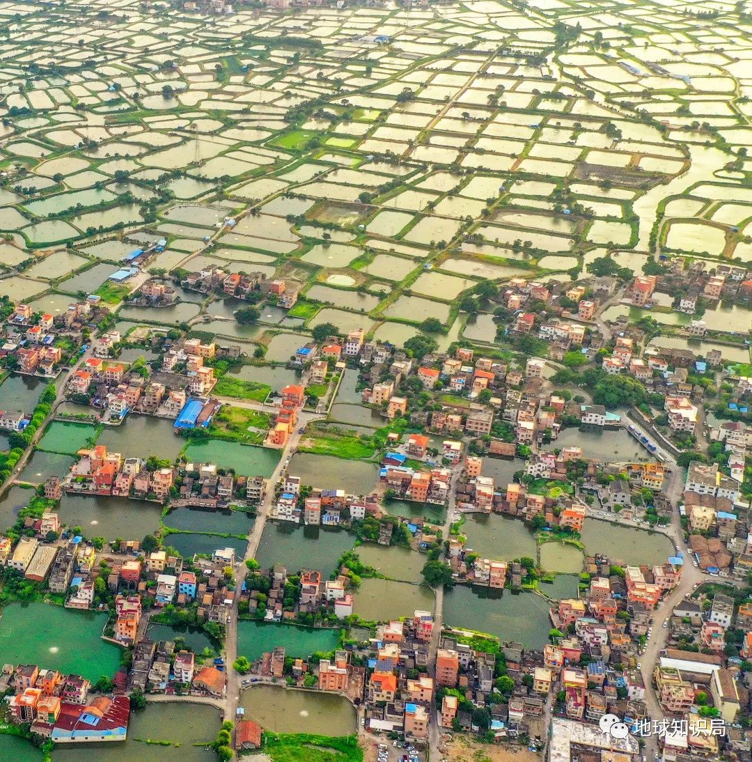 沿海人民是如何喂饱中国的？