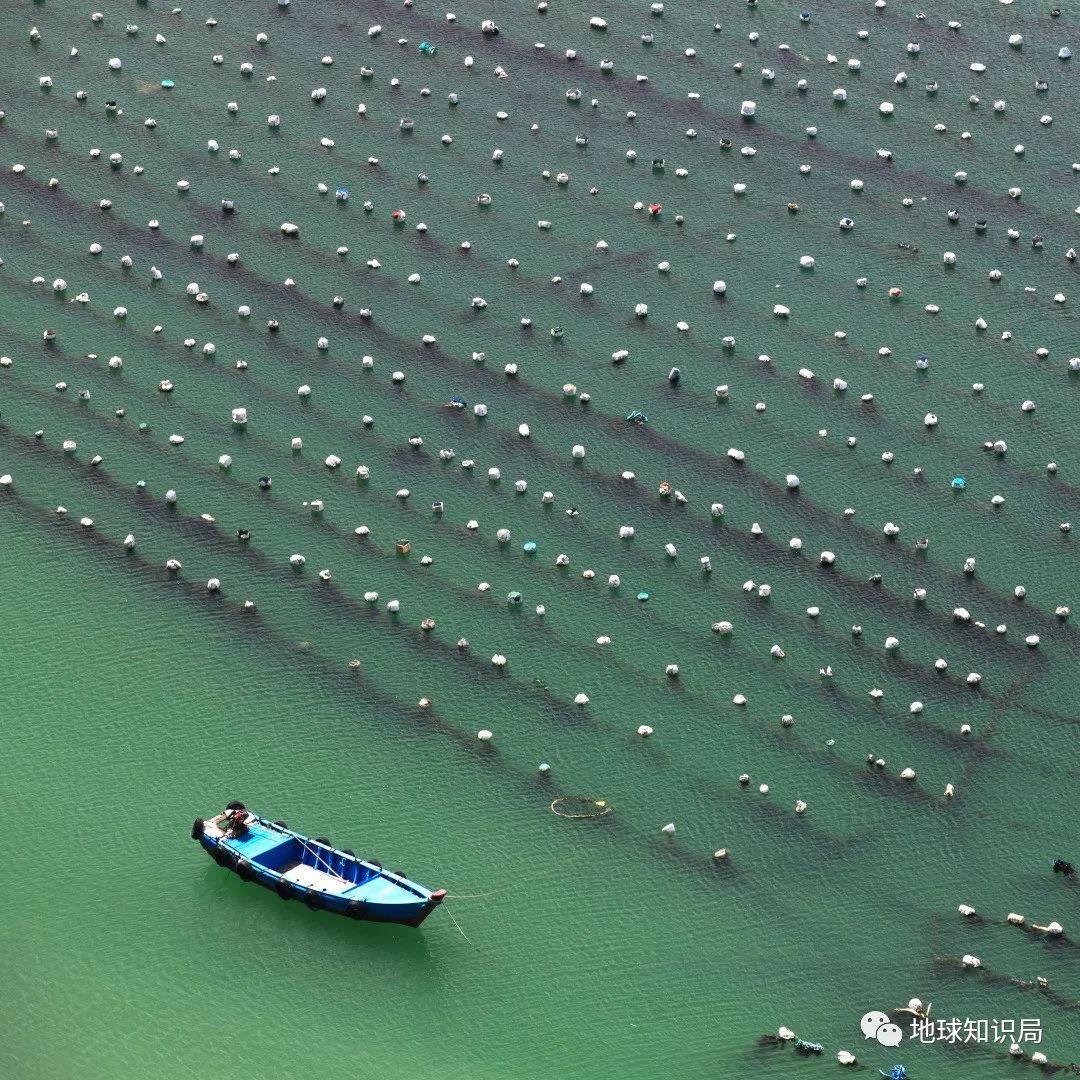 沿海人民是如何喂饱中国的？