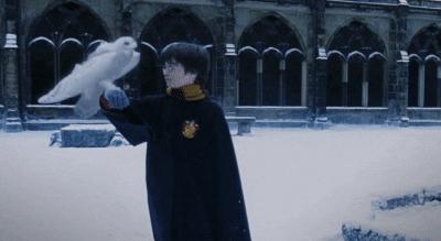 哈利波特作者罗琳的人生经历,罗琳写给哈利波特